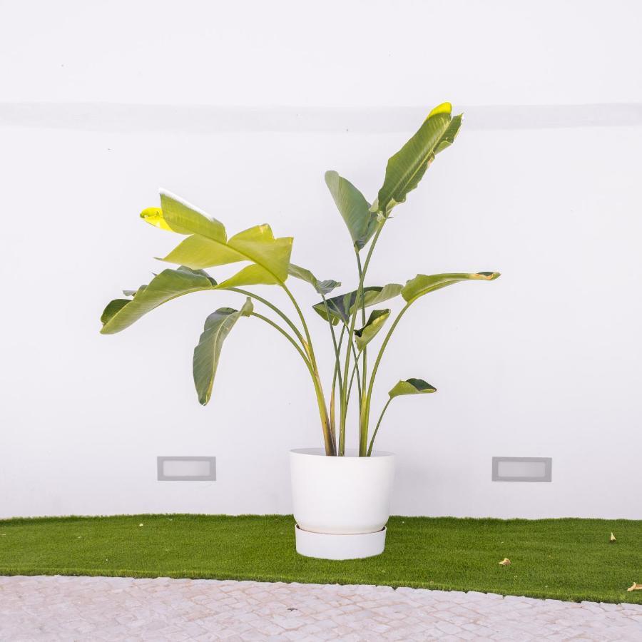Dear Faro - Guest House Екстер'єр фото